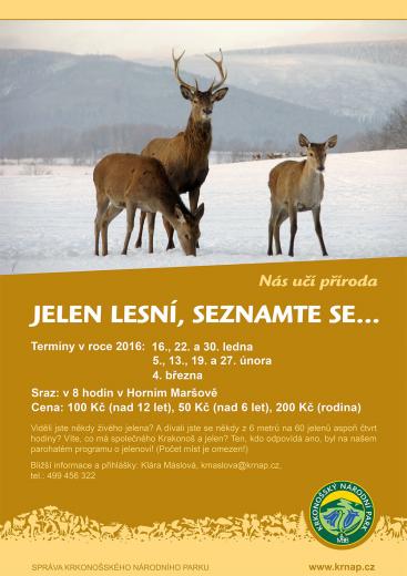 Jelen lesní, seznamte se...